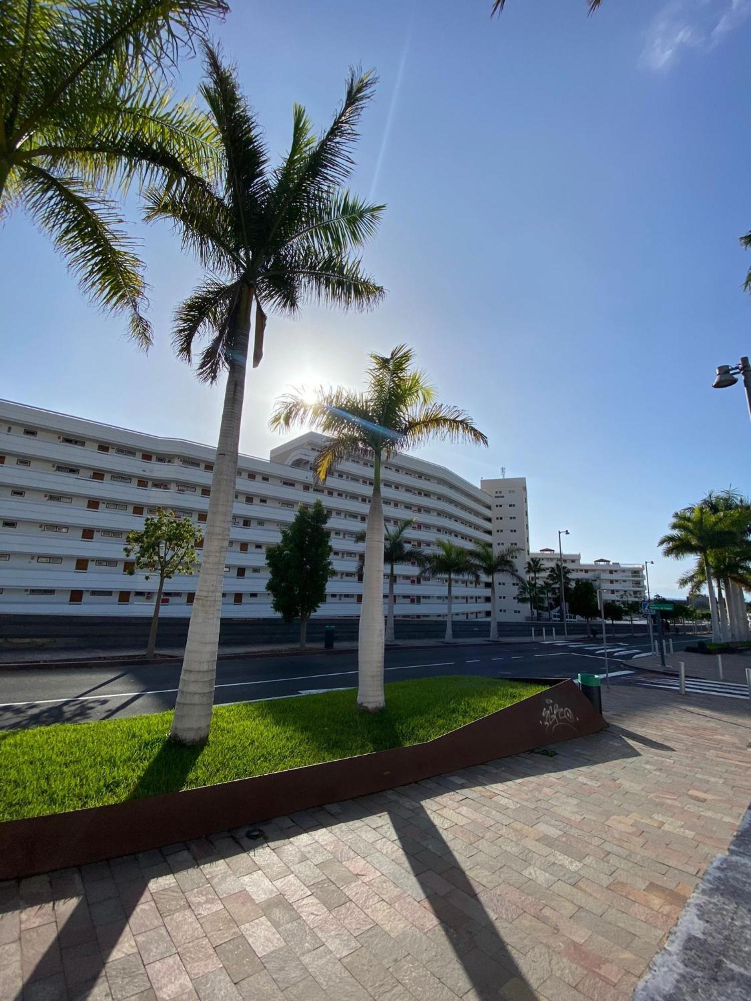 Nice Apartment In Las Americas/Costa Adeje 1 Playa de las Americas  Exterior photo